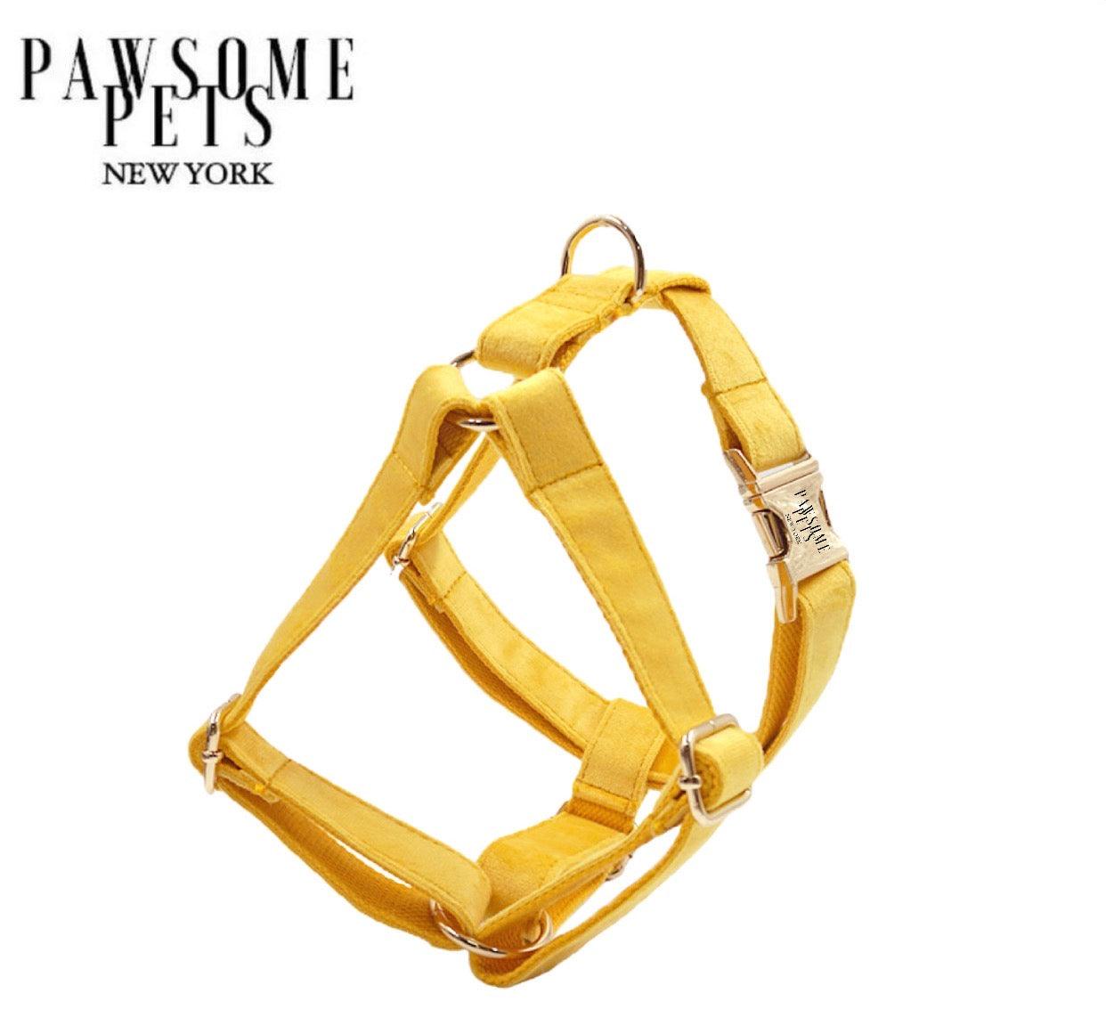 STEP IN HARNESS - DARK YELLOW